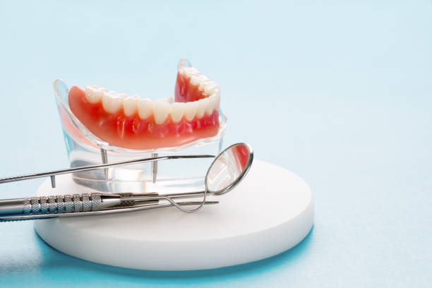 Professional Holistic Dental Care Services in Ben Bolt, TX
